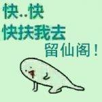 《留仙阁破产实录》
