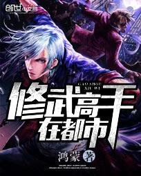 《修武高手在都市》