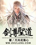 《剑尊圣导》