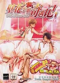《壁花小姐奇遇记》