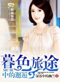 《暮色旅途中的邂逅》