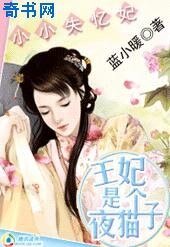 《小小失忆妃:王妃是个夜猫子》