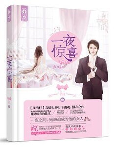 一夜惊喜：天价娇妻（出书版+网络版）