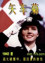 《矢车菊【征文】》
