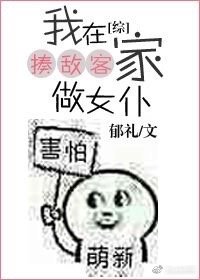 （综动漫同人）我在揍敌客家做女仆[综]