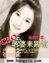 《撒旦夺爱:CEO老婆来踢馆》