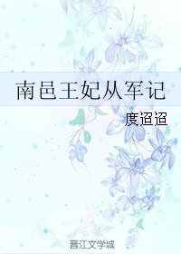 《南邑王妃从军记》