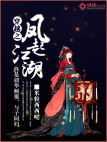 穿越之凤起江湖