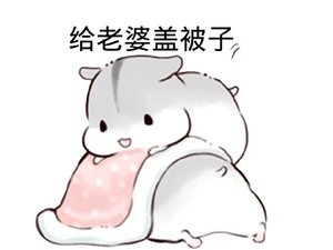 《浅谈一个写手的自我修养》