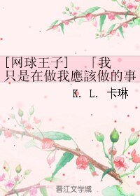 《(网王同人)我只是在做我应该做的事情。》