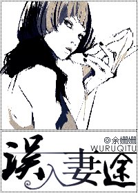 《误入妻途(网络版)》