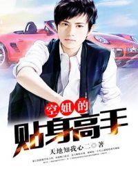 《空姐的贴身高手》