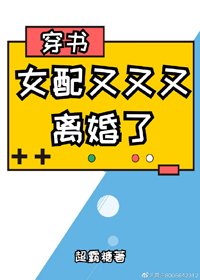 《女配又又又离婚了》