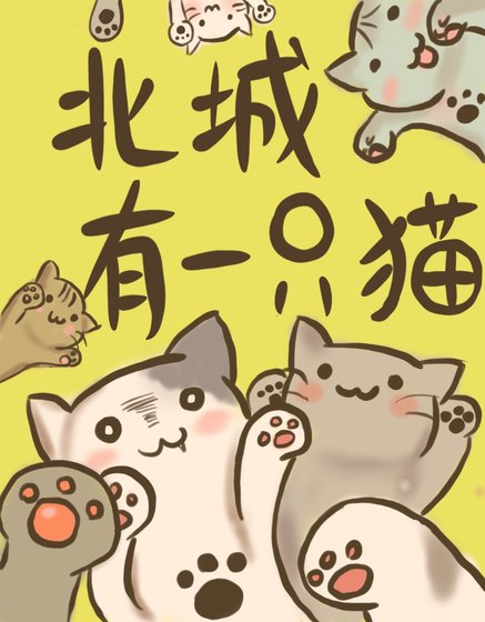 《北城有一只猫》