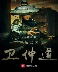《网游三国卫仲道》