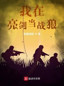 《我在亮剑当战狼》