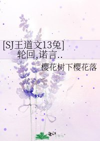 [SJ王道文13兔]轮回,诺言..