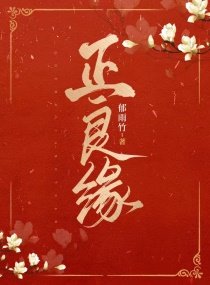 《正良缘》