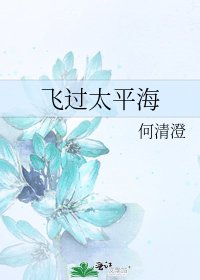 《飞过太平海》