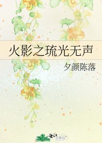 《火影之琉光无声》