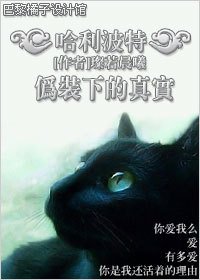 《伪装下的真实》