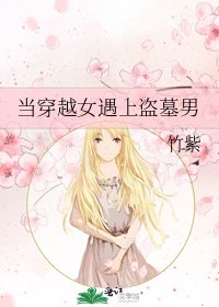 《当穿越女遇上盗墓男》