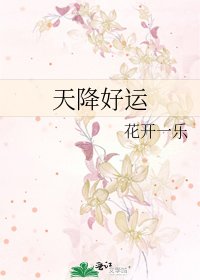 天降好运