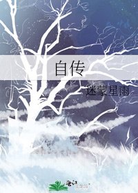 《自传》