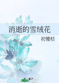 《消逝的雪绒花》