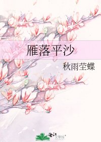 《雁落平沙》