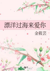 《漂洋过海来爱你》