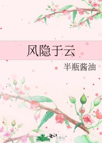 《风隐于云》