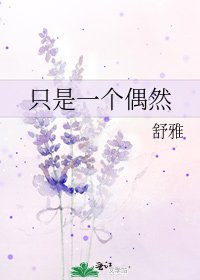 《只是一个偶然》