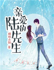 《亲爱的陆先生》
