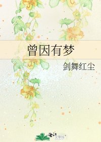 《曾因有梦》