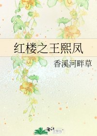 《红楼之王熙凤》