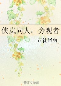 《(侠岚同人)侠岚同人:旁观者》