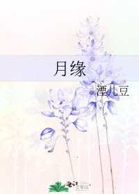 《月缘》