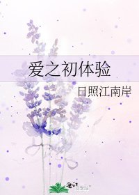《爱之初体验》