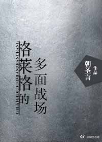 《格莱格的多面战场》