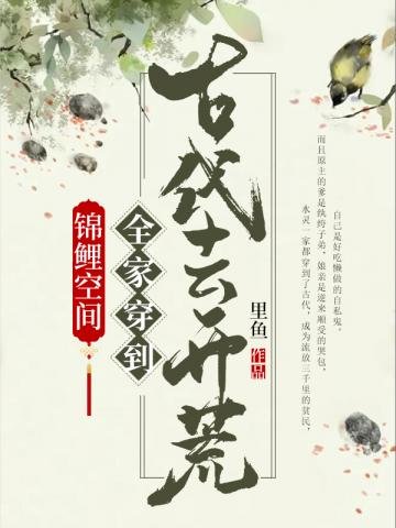 《锦鲤空间之全家穿到古代去开荒》