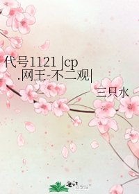 《代号1121 |cp.网王-不二观|》