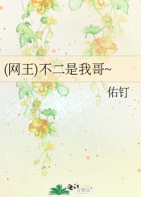 《(网王)不二是我哥~》