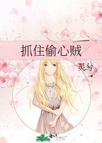 抓住偷心贼