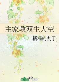 《主家教双生大空》