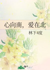《心向南,爱在北》