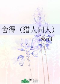 《舍得(猎人同人)》