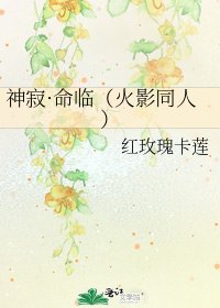《神寂·命临(火影同人)》