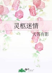 《灵柩迷情》