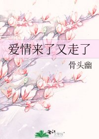 《爱情来了又走了》